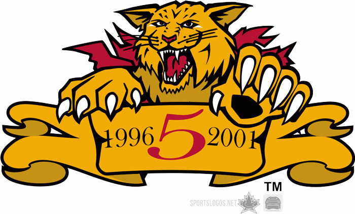 moncton wildcats 2001 anniversary logo iron on transfers for clothing